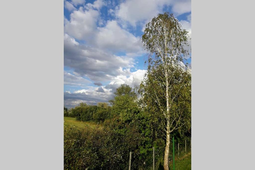 Entspannen Im Dorf Am See Zahren Esterno foto